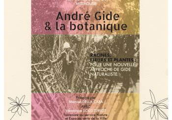 André Gide & la botanique. Racines, fleurs, plantes : pour une nouvelle approche de Gide naturaliste